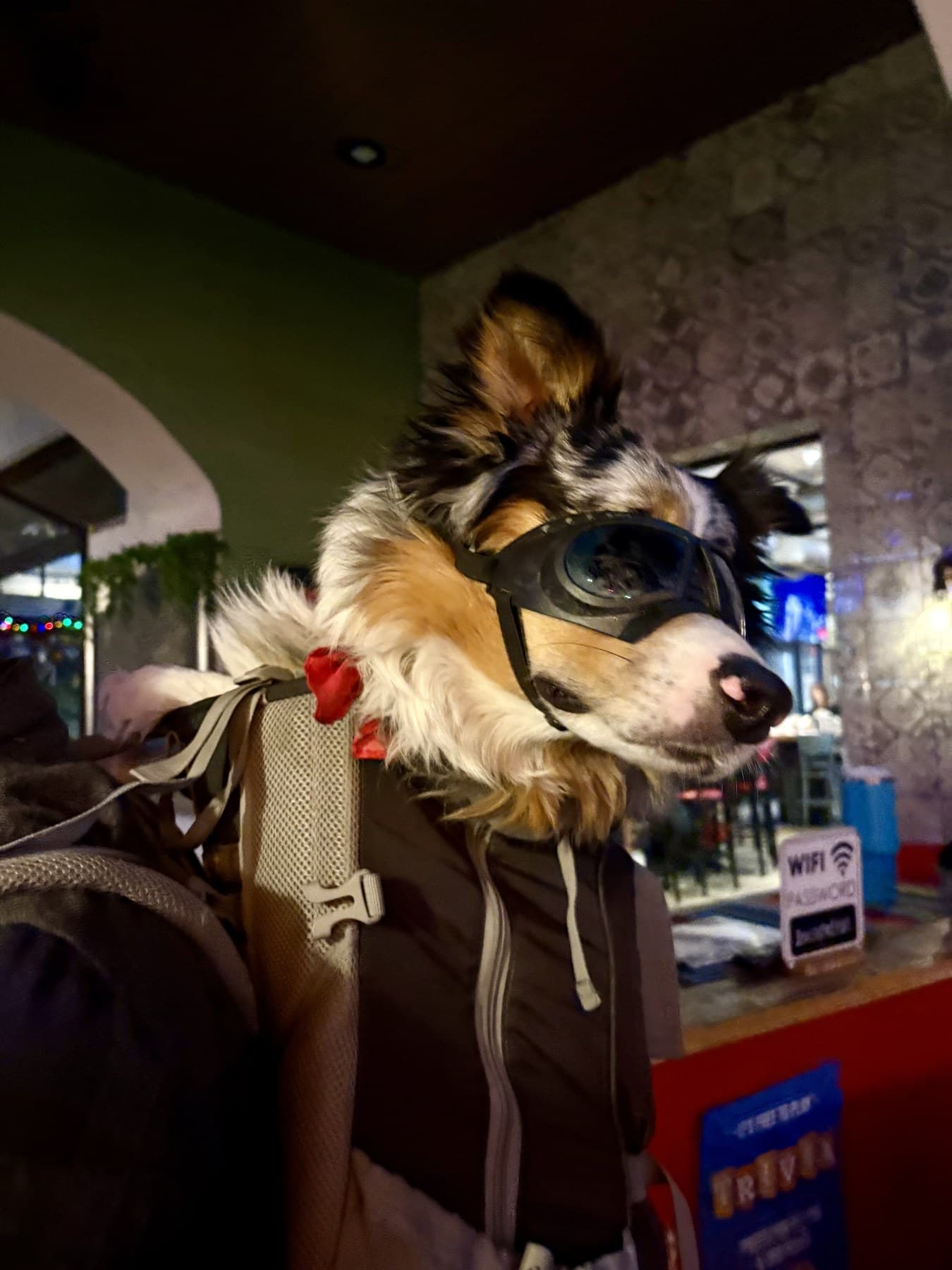 Casper wearing goggles at night during a Kimmer and Casper travel photography stop