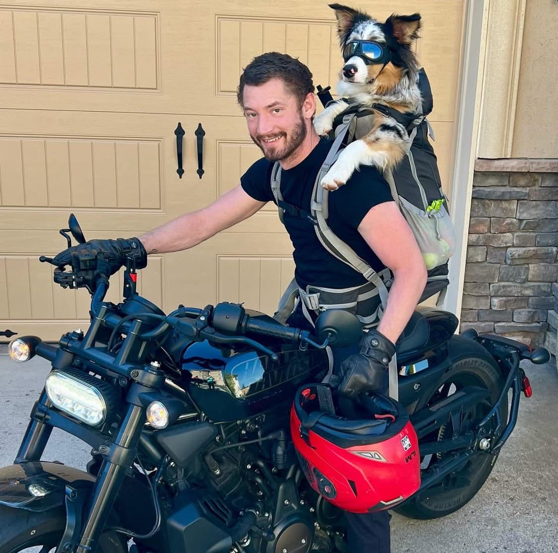 Casper wearing goggles in a backpack on Kimmer O'Reilly's Harley motorcycle